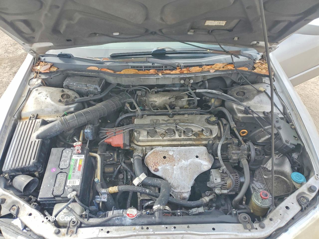 Honda Accord 2002