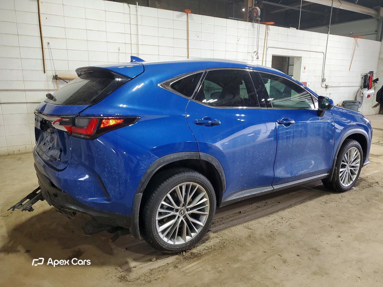 Lexus NX 2025