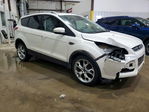 Ford Escape 2015