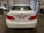 Lexus ES 2009