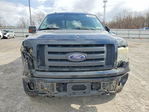 Ford F-150 2010