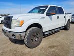 Ford F-150 2010
