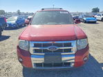 Ford Escape 2011