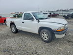 Dodge Dakota 2000