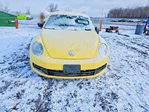 Volkswagen Beetle 2015