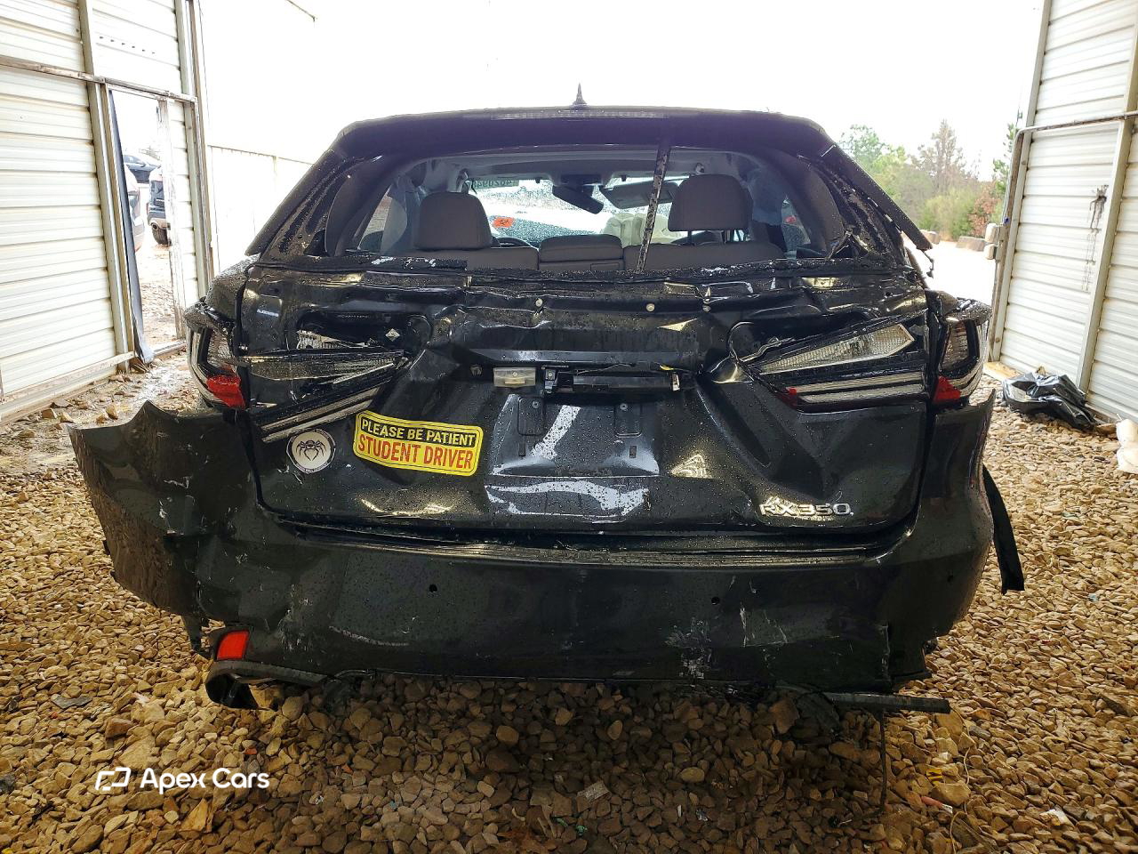 Lexus RX 2022