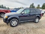 Ford Escape 2010