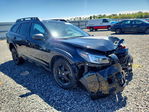 Subaru Outback 2025