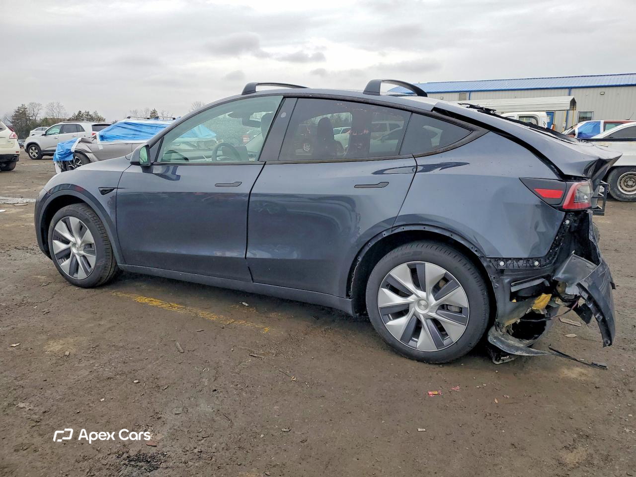 Tesla Model Y 2024