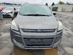 Ford Escape 2014