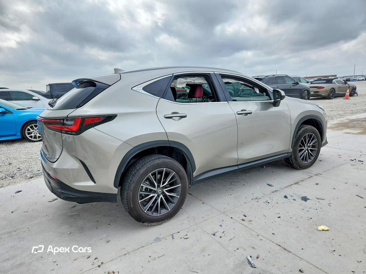 Lexus NX 2024