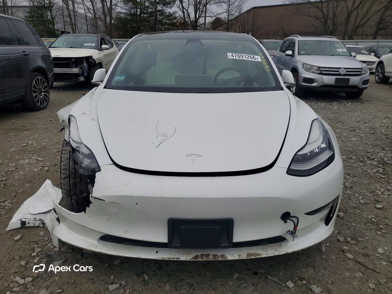 Tesla Model 3 2019