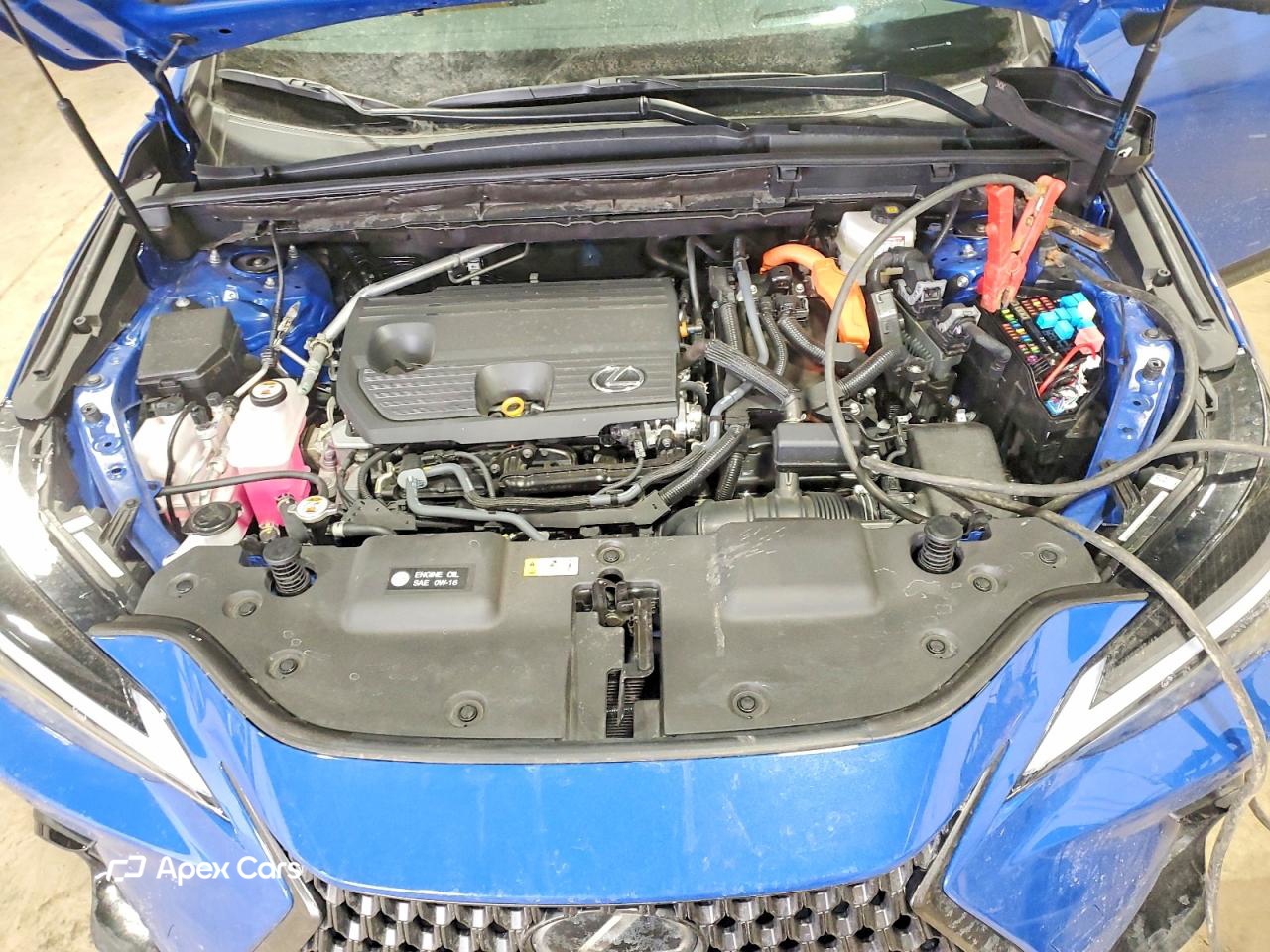 Lexus NX 2025