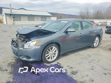 Nissan Maxima 2011 - Image 1 of 12