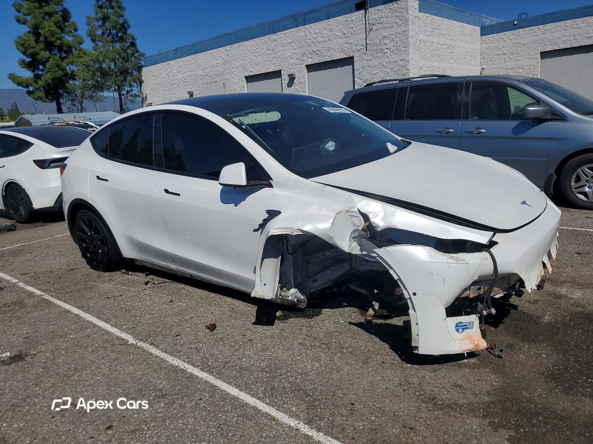 Tesla Model Y 2020