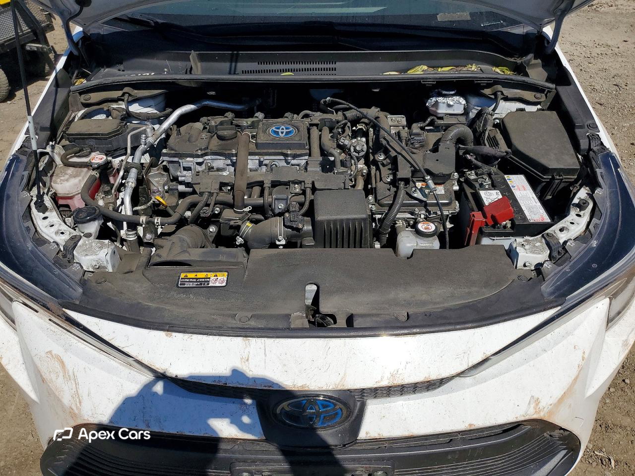 Toyota Corolla 2023