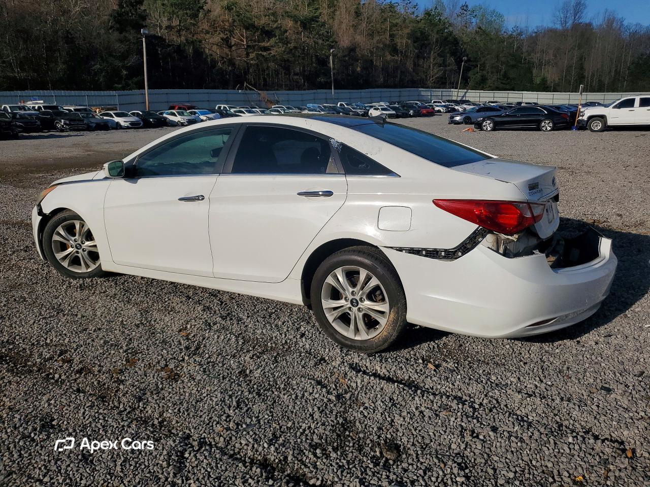 Hyundai Sonata 2013