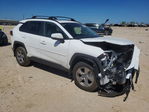Toyota RAV 4 2025