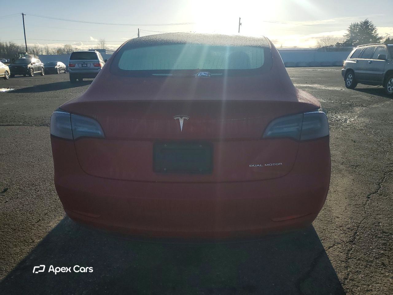 Tesla Model 3 2019