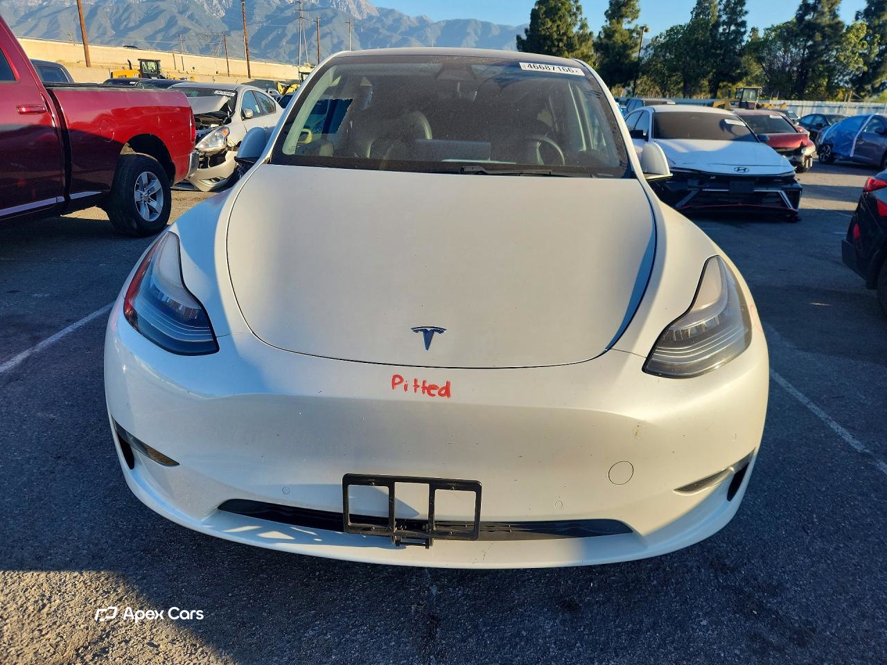 Tesla Model Y 2020