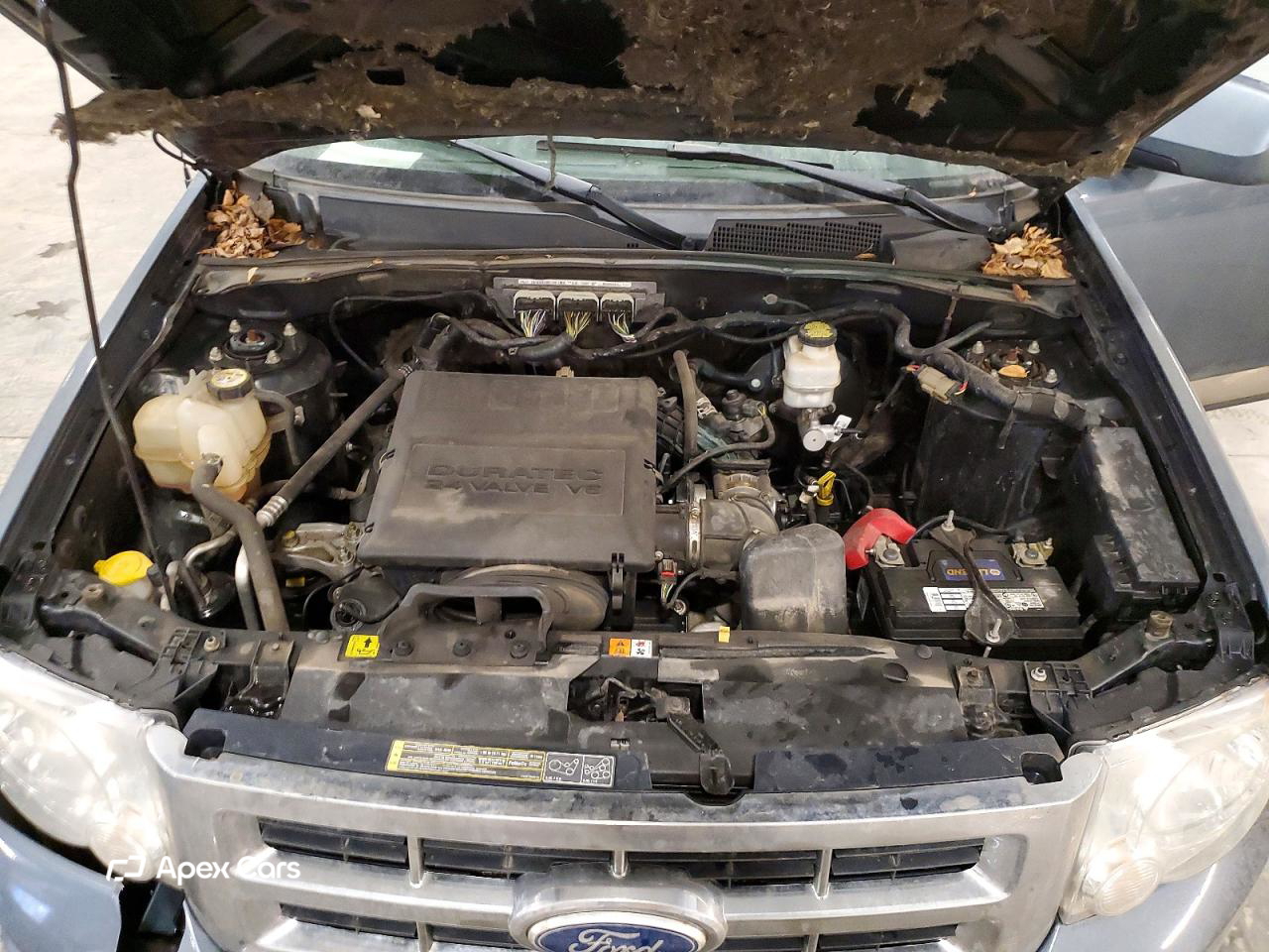 Ford Escape 2011