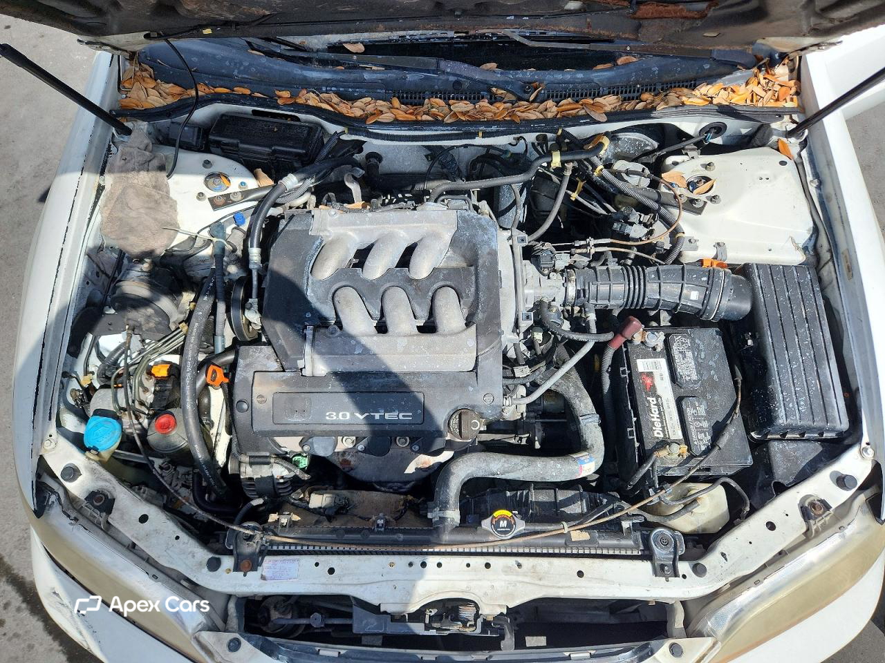 Honda Accord 2000