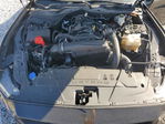 Ford Mustang 2024