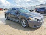 Nissan Maxima 2011