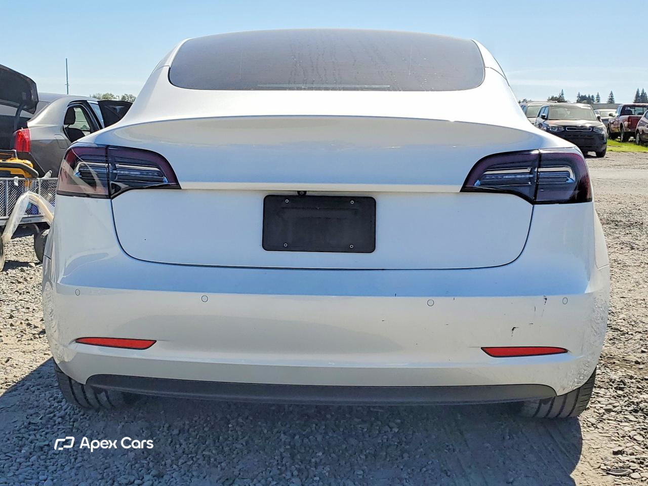 Tesla Model 3 2021