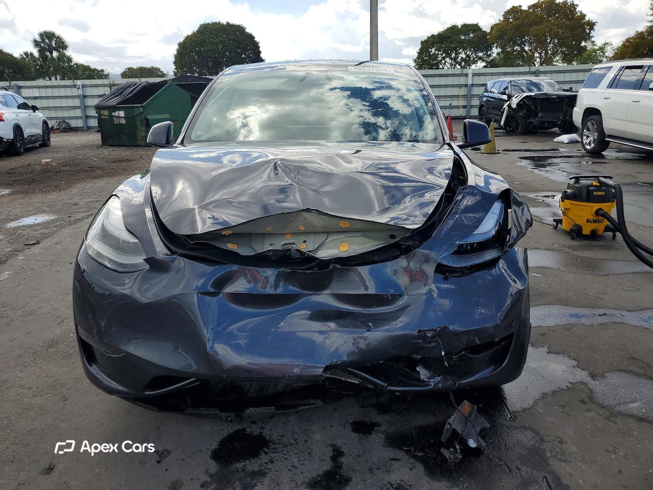 Tesla Model Y 2024