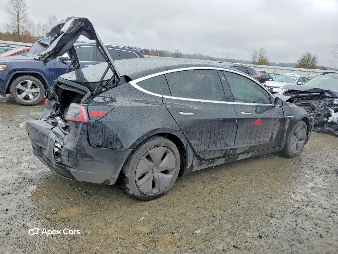 Tesla Model 3 2019
