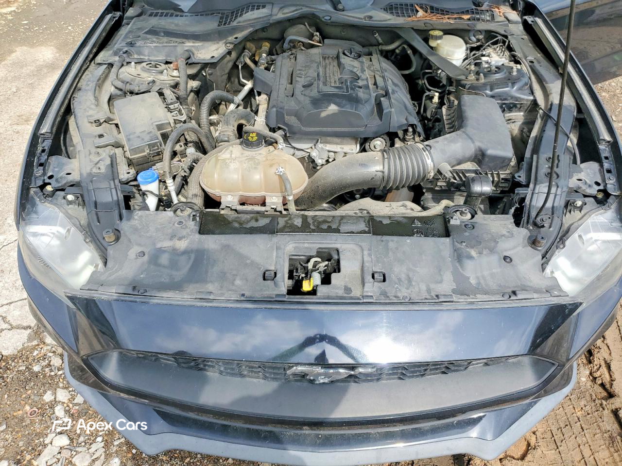 Ford Mustang 2020