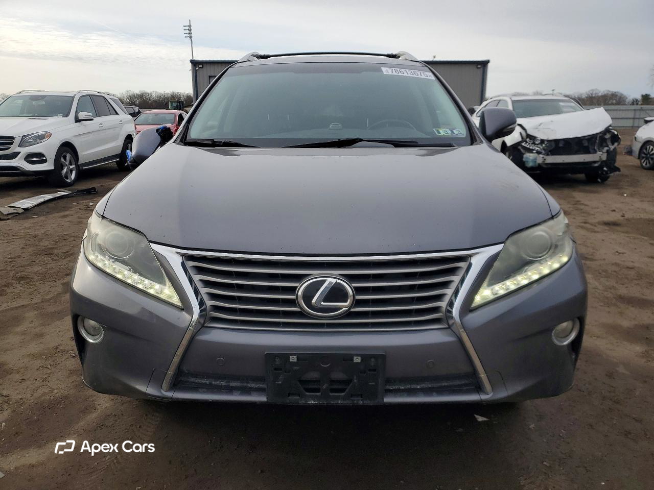 Lexus RX 2013