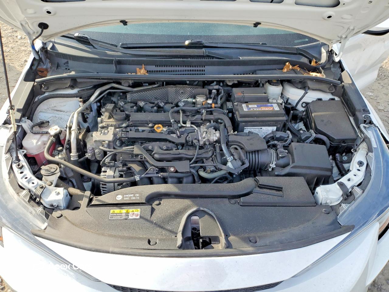 Toyota Corolla 2023