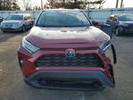 Toyota RAV 4 2021