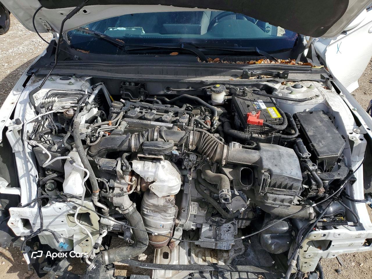 Honda Accord 2019