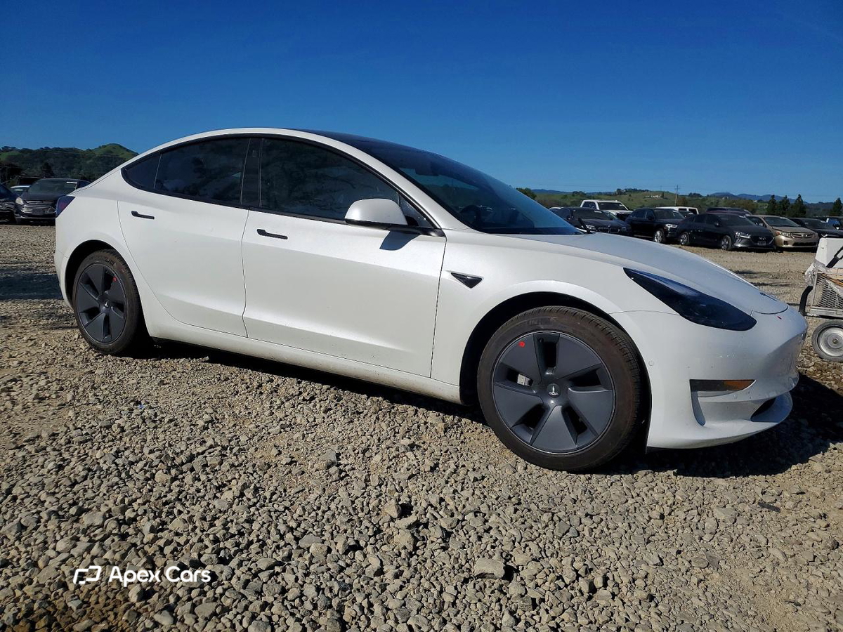 Tesla Model 3 2021