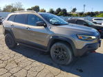 Jeep Cherokee 2019