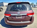 Honda Odyssey 2014