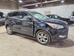 Ford Escape 2015