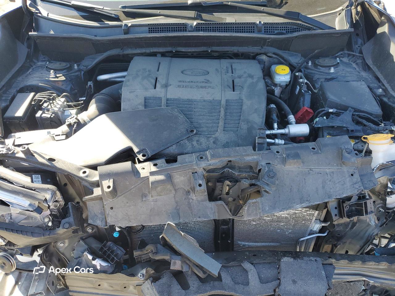 Subaru Forester 2023