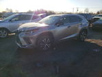 Lexus NX 2019