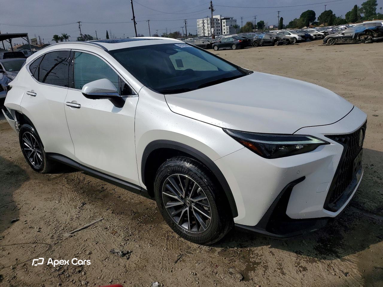 Lexus NX 2025