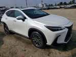 Lexus NX 2025