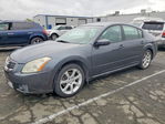 Nissan Maxima 2007