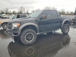 Ford F-150 2010