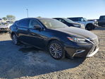 Lexus ES 2017
