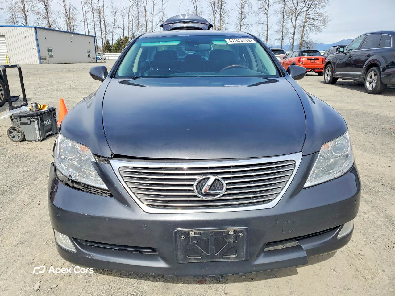 Lexus LS 2008