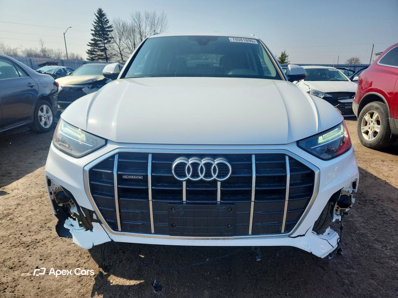 Audi Q5 2024