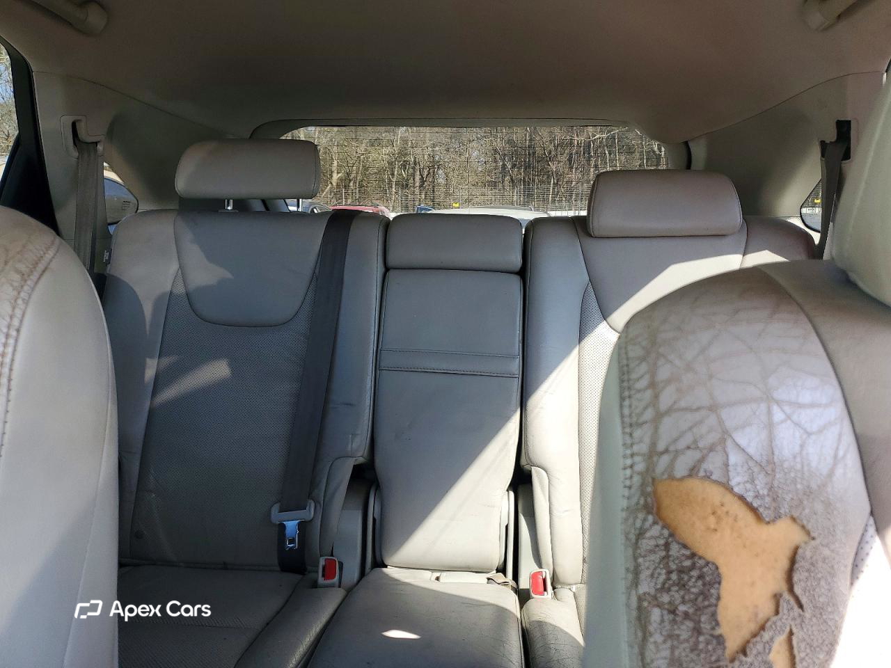 Lexus RX 2010